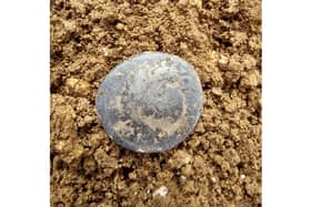Wessex Archaeology, working with Southern Water, discovered a Roman grave and coin - pictured - during archeological investigations along the route of a pipeline for Havant Thicket reservoir