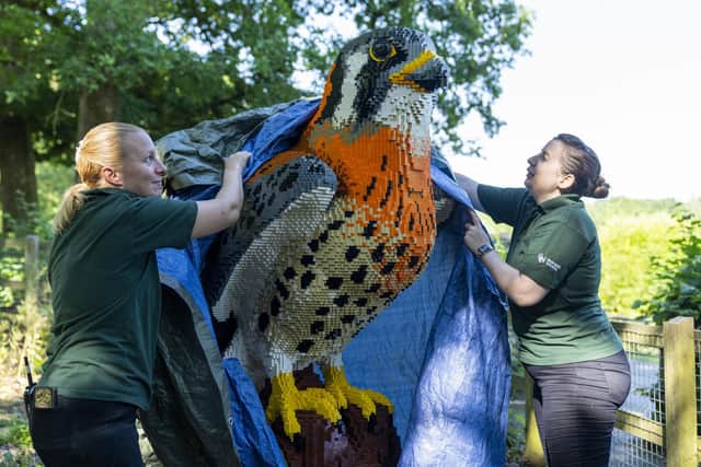 Marwell Zoo gets ready for their reopening. Picture: Jason Brown Photography