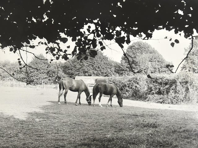 Pictured is: Nelson Lane, Portchester in 1971. Picture: (4689-2)