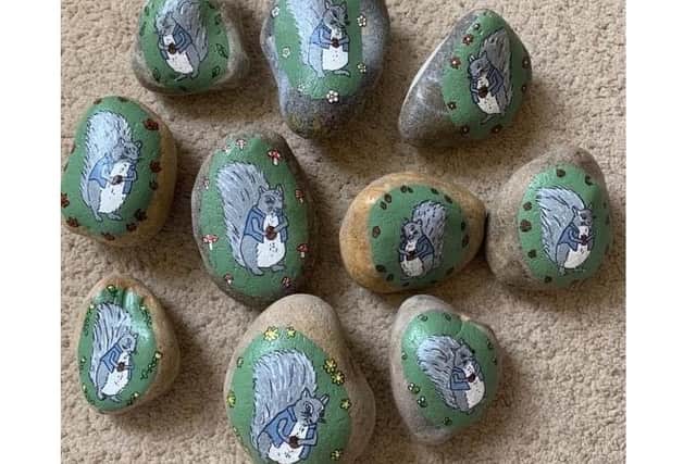 Matthew A Scott from Southsea has written a children's book called Cyril Squirrel and the Wonderfully Worrisome Task, and a pebble with a painting of Cyril on ended up 300 miles away
