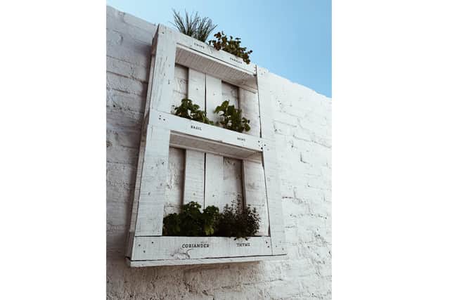 Hayley Derry from Southsea has transformed her kitchen for less than £100 in a DIY isolation project and has been sharing her updates on Instagram @southsea.abode. Pictured: Herb garden made from a recycled pallet