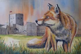 Fox at Portchester Castle 