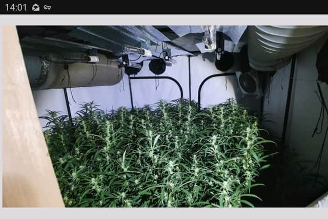 A man has been detained over a suspected cannabis farm in Emsworth Road, Portsmouth