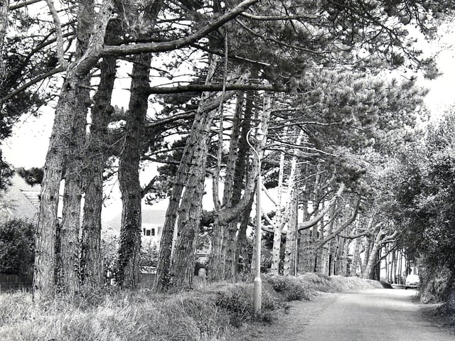 Pictured is: Old Street, Hill Head in 1971. Picture: (4778-1)