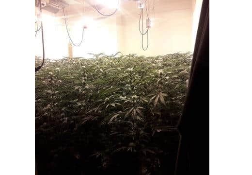 Drugs bust in Prince of Wales Avenue, Southampton. Picture: Shirley Police