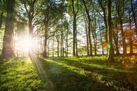 Over 12,000 newly-planted trees in the South Downs National Park have been dedicated to the Queen for the Platinum Jubilee.