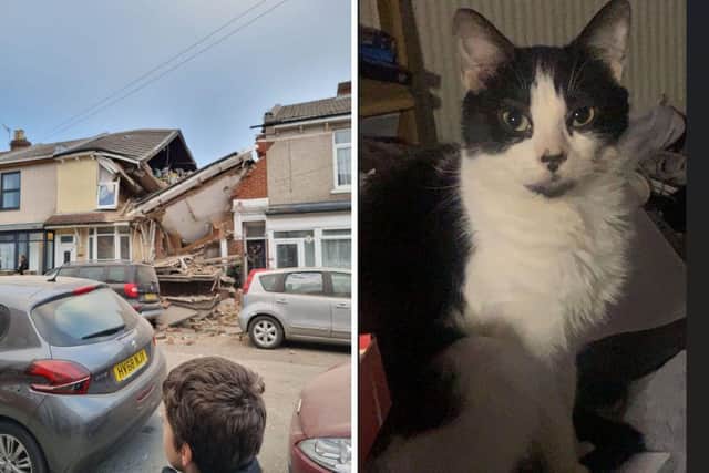 The collapsed house in Langford Road, Buckland, Portsmouth and Munchkin the missing cat