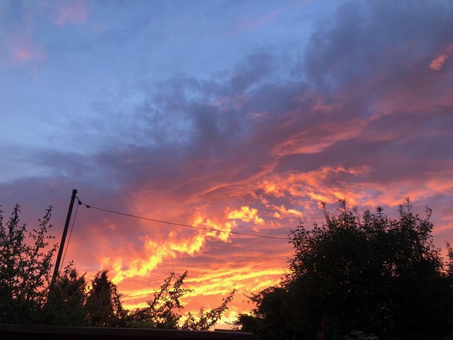 An amazing image taken by one of our readers with their mobile phone. Credit: Marcia Dingley
