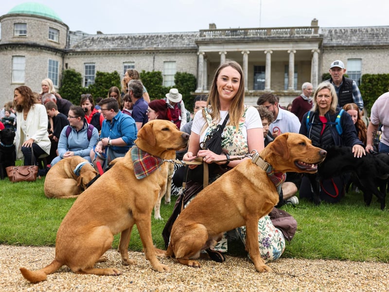A view of the Labrador Parade at Goodwoof 2024, a dog event held at Goodwood Estate in Chichester. PA Photo. This year's event features a Labrador Parade, led by The Duke of Richmond, in celebration of the breed. Elsewhere at the event, visitors can try forest bathing, truffle hunting, watch top canine athletes in competition, enjoy wellness workshops and listen to talks from behavioural and veterinary experts. Picture credit should read: Matt Alexander/PA Media