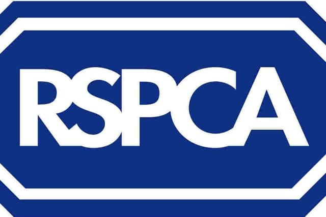 RSPCA