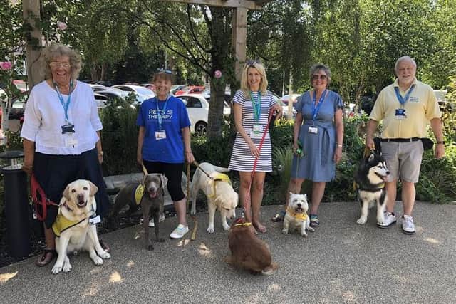The Pets As Therapy volunteers with their four-legged friends