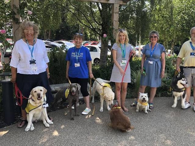 The Pets As Therapy volunteers with their four-legged friends