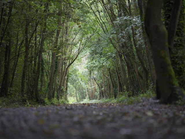 The Meon Valley Trail is a 16 kilometre trail that stretches through Butser Hill, Clanfield, West Meon and East Meon - and it really is a stunning walk.