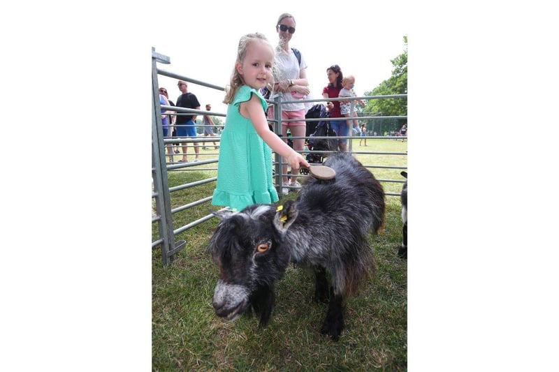 3 year old Darcie Speight brushes a goat from Mucky Bucket Farm.
Picture: Stuart Martin (220421-7042)