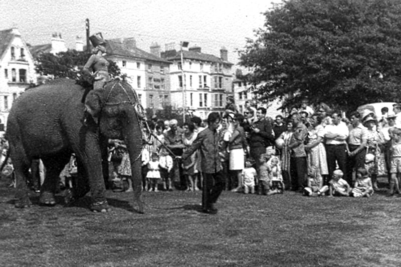 The arrival of the elephants for Billy Smarts Circus on Southsea Common in 1964.