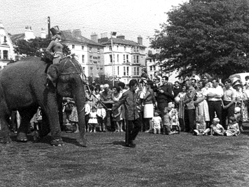The arrival of the elephants for Billy Smarts Circus on Southsea Common in 1964.