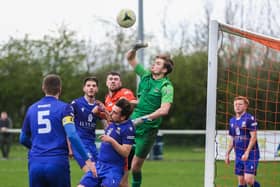 Baffins goalkeeper Roux Hardcastle has conceded just four goals in his last 10 Wessex League Premier Division fixtures.