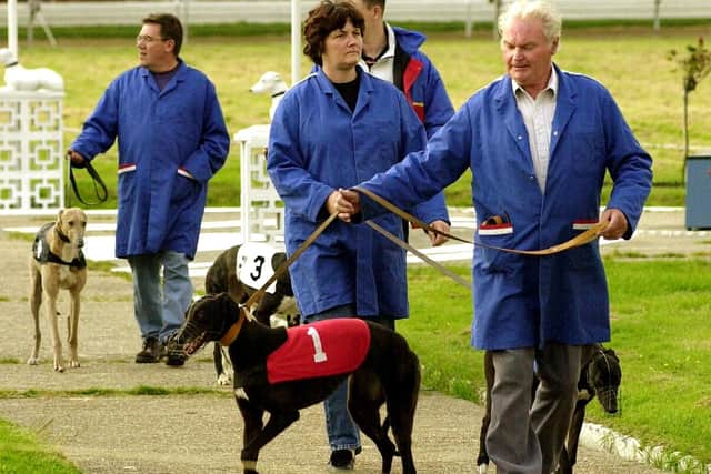 Parading the runners - dog handler Tony Turner, from North End, Portsmouth, leads the dogs into the parade ring at Tipner. Picture: Michael Scaddan 012884_0007.