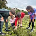 Bosmere Junior School  field trip to Chichester Harbour