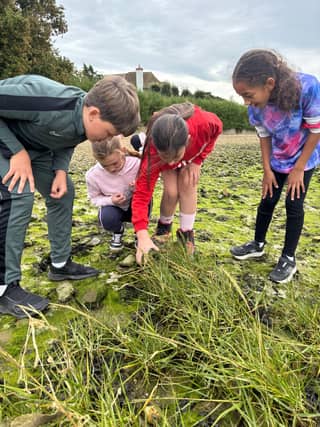 Bosmere Junior School field trip to Chichester Harbour