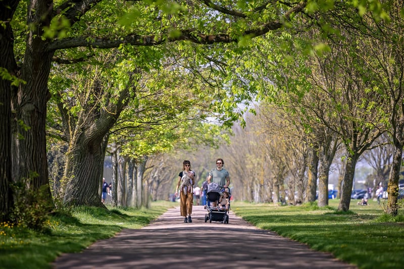 Daisy Barker (33) carrying daughter Birdy (4 months) with Matthew Barker (33) and son Bobby (2) enjoying a sunny stroll along Ladies Mile. Picture: Mike Cooter (110524)