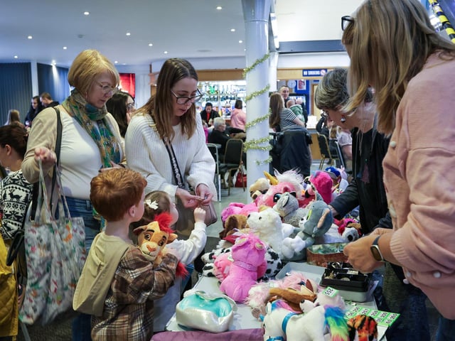 Families headed to Horndean Technology College on Saturday to enjoy a festive afternoon at the Christmas Fayre. Picture: Chris Moorhouse (161124-59)