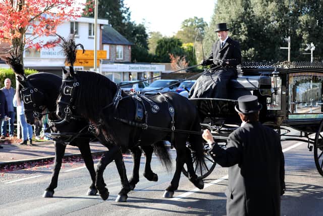 The horse and carriage. Photograph by Sam Stephenson