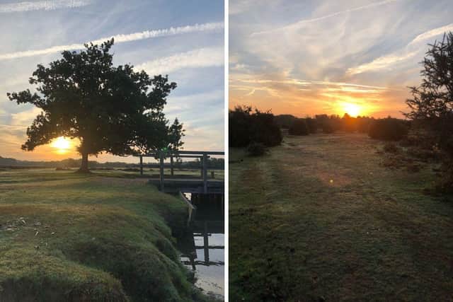 Police report the naked man has been spotted 'several times' on the track that runs parallel to the A35, between the underpass from the golf course behind the cemetery at Bolton's Bench, New Forest. Picture: New Forest Heart Cops.