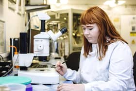 Researchers from the University of Portsmouth have been recognised in the latest Research England Strategic Delivery Plan for their environmental work
