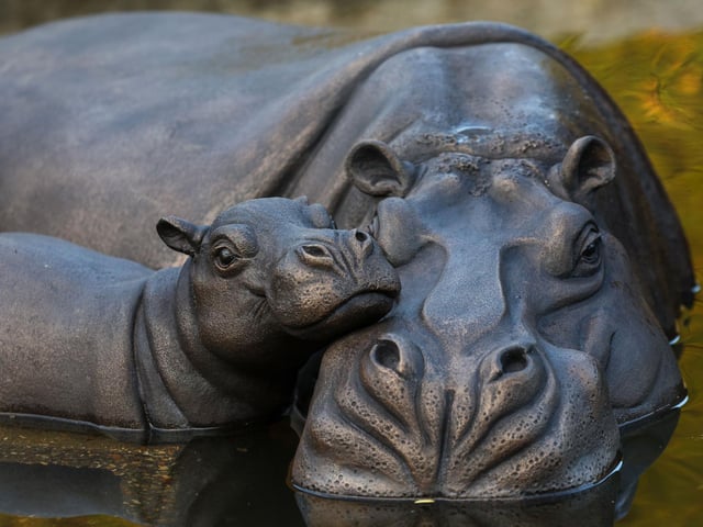 Large Hippo Wallow by Suzie Marsh