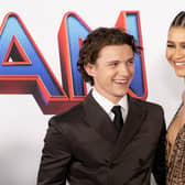 (L-R) Tom Holland and Zendaya attend the Los Angeles premiere of Sony Pictures' 'Spider-Man: No Way Home'. Picture: Emma McIntyre/Getty Images