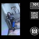 Police appeal for information after a handbag was stolen from a bathroom in Nando's in Gunwharf Quays.