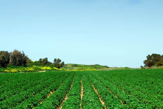 South of England has a rich heritage of farming. Working with UKHarvest will rescue edible food and save farmers money and time.
