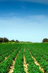 South of England has a rich heritage of farming. Working with UKHarvest will rescue edible food and save farmers money and time.