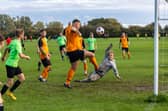 Waterlooville Wanderers (green) v AFC Farlington. Picture: Mike Cooter