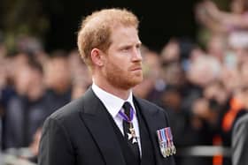 The Duke of Sussex Picture: PA