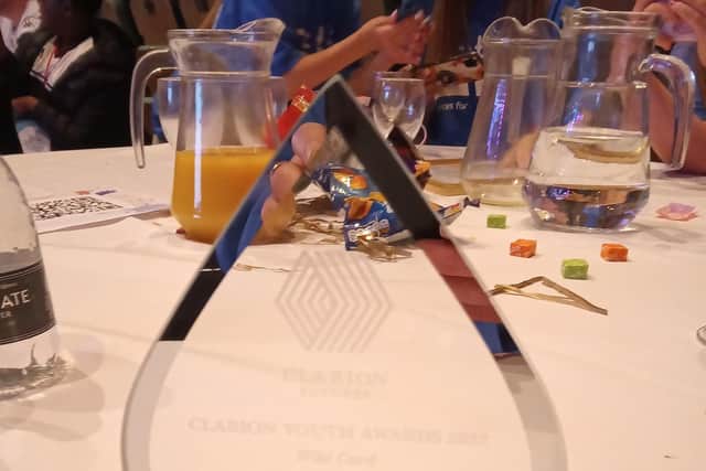 Power of Youth receives wild card award
