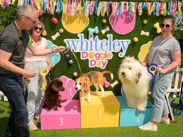 Dogs of all shapes and sizes where in attendance.Picture: Keith Woodland (250521-101)