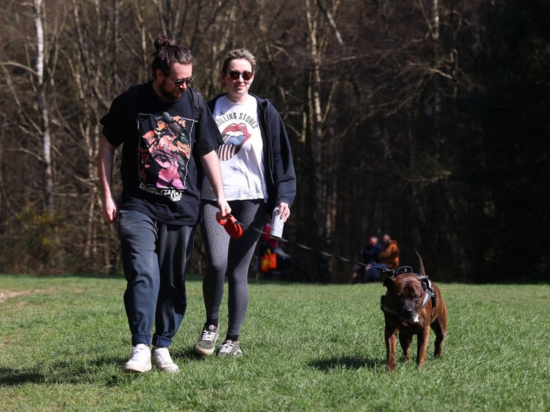 Pictured is Heidi Wilson and Ed Street and dog Parker.
Picture: Sam Stephenson.