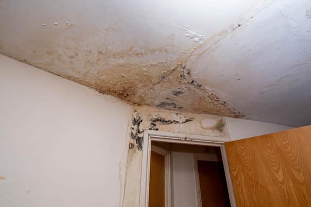 Mould has become worse in resident Ian Knight's flat.
Picture: Habibur Rahman