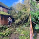 Pictured: David Hall, 66 and son Leo, 10 outside their house with the fallen tree. 
Picture on right: The tree coming up to the front gate. 
Picture: Tess Hall