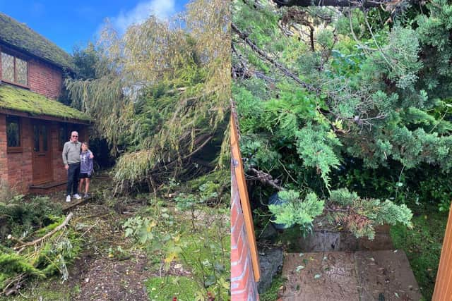 Pictured: David Hall, 66 and son Leo, 10 outside their house with the fallen tree. 
Picture on right: The tree coming up to the front gate. 
Picture: Tess Hall