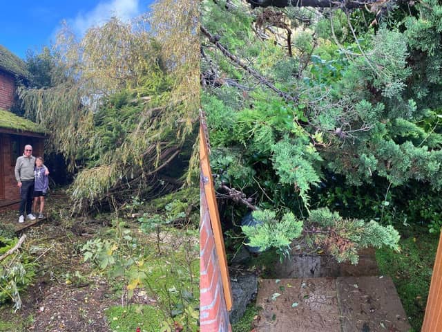 Pictured: David Hall, 66 and son Leo, 10 outside their house with the fallen tree. 
Picture on right: The tree coming up to the front gate. 
Picture: Tess Hall