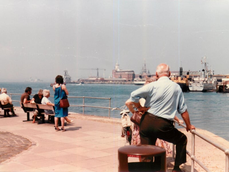 People stop to enjoy the views of the harbour. Picture by Steve Spurgin