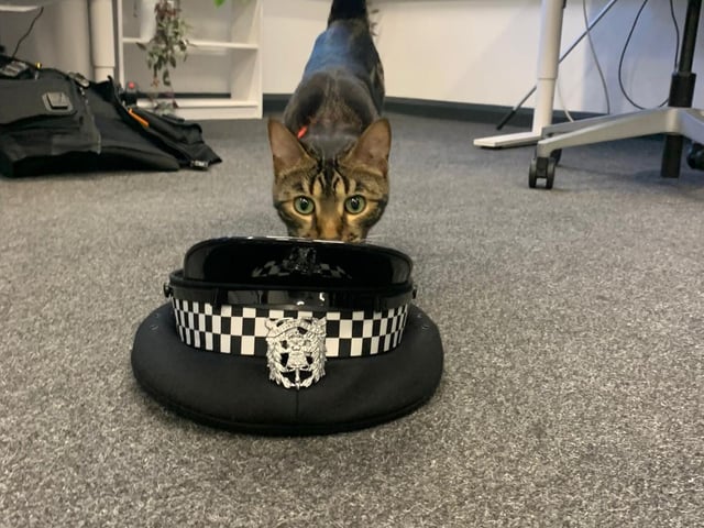 Tilly the cat was a regular visitor to Gosport Police Station.