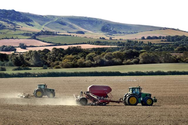 Farming near Long Man Brewery
