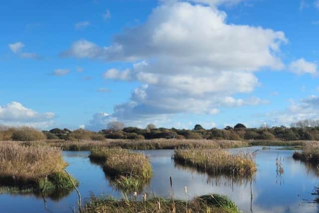 Local Nature Recovery Strategy for Hampshire 2025. Image: Hampshire County Council