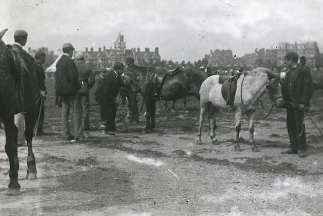 Ponies on Southsea Common, England, 1890s. (Photo by F. J. Mortimer/Hulton Archive/Getty Images)