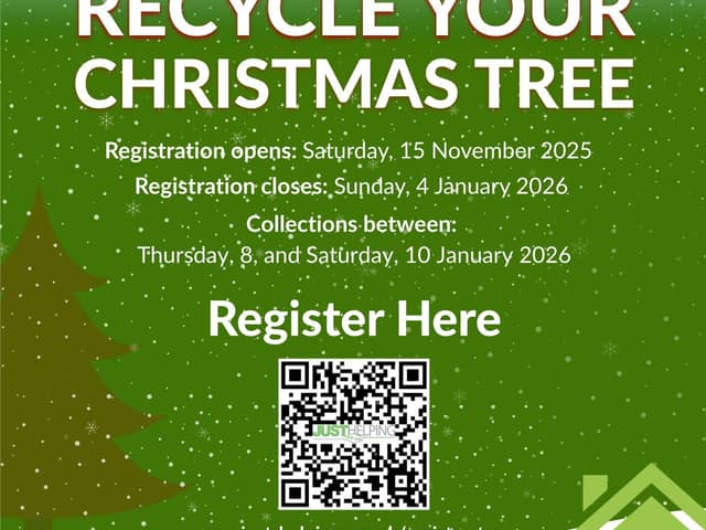 Christmas Tree Collection Poster