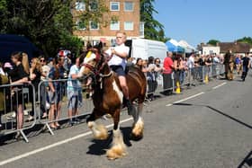 The annual Wickham Horse Fair took place on Monday, May 20, 2024, in The Square, Wickham. 

Picture: Sarah Standing (200524-9082)